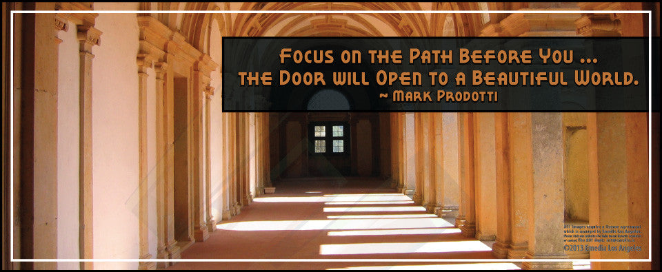 path-forward-focus